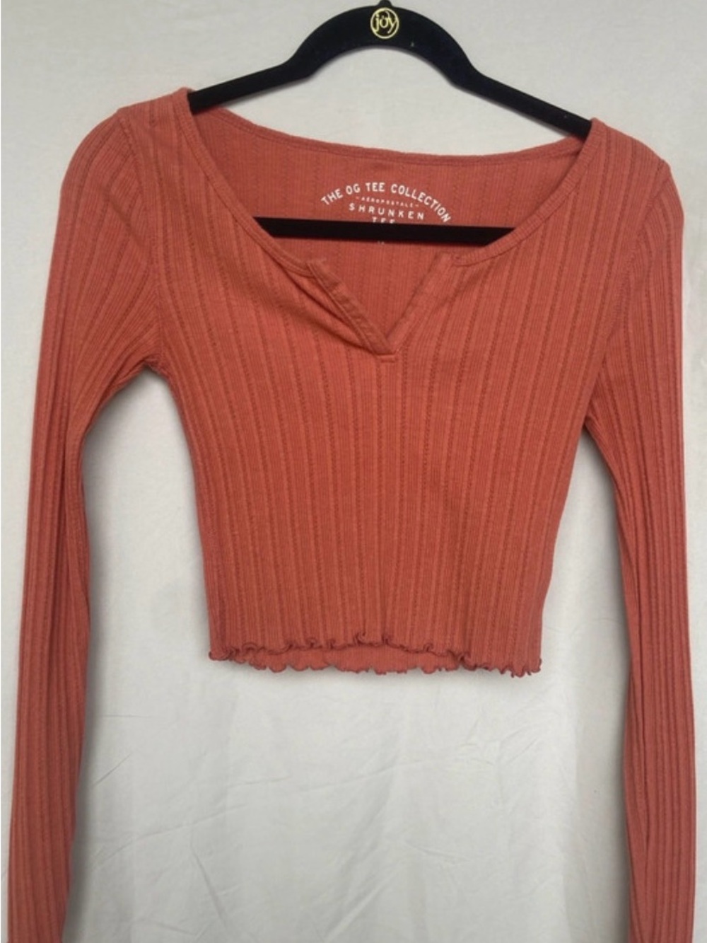 Aeropostale Ribbed Long-Sleeve V-Notch Crop Top in Terracotta